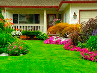 Как украсить газон возле дома. Оформление газона своими руками